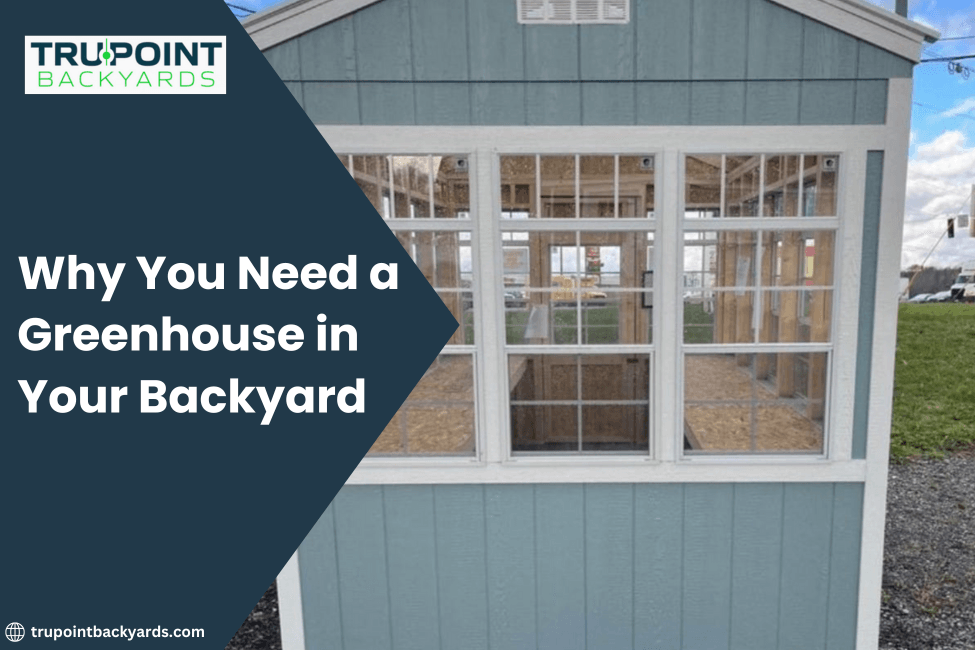 Why You Need a Greenhouse in Your Backyard