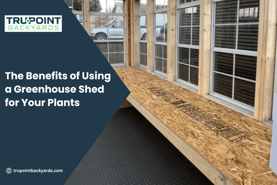 The Benefits of Using a Greenhouse Shed for Your Plants