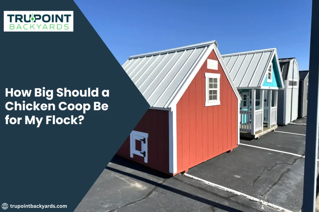 How Big Should a Chicken Coop Be for My Flock?