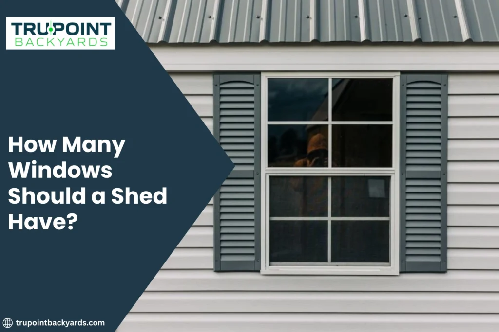 How Many Windows Should a Shed Have